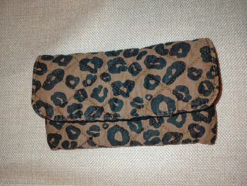 Petite Pochette étui à lunettes léopard