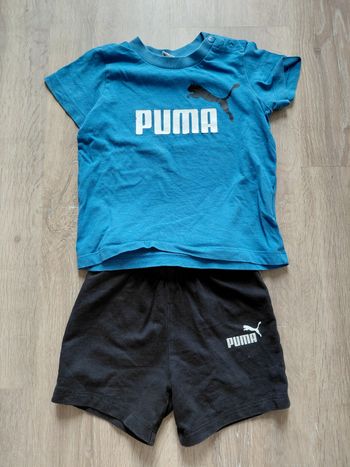 Ensemble puma