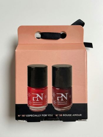 Lot de Vernis PN Pronails