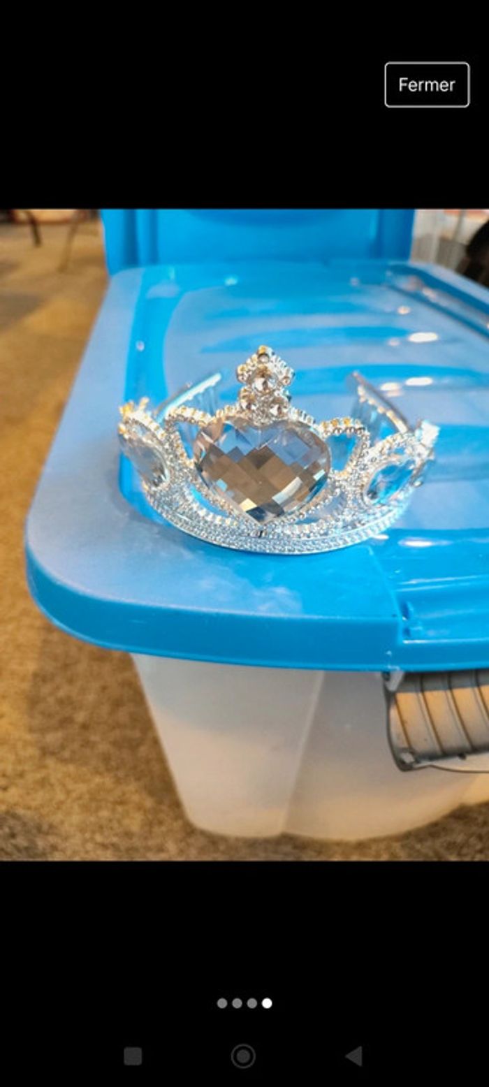 Déguisement Reine des neiges - photo numéro 4