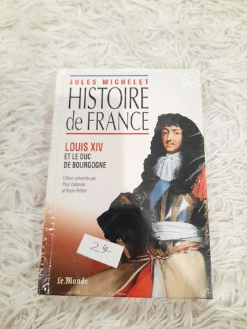 Livre histoire de France 