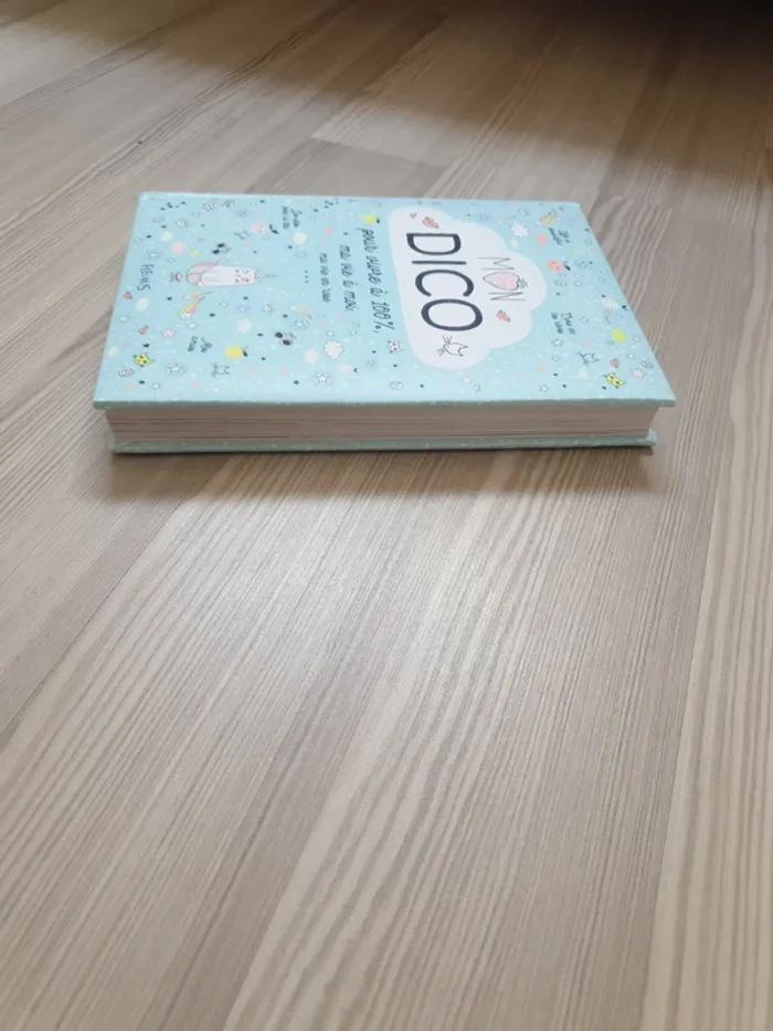 Livre Mon dico fille - photo numéro 8