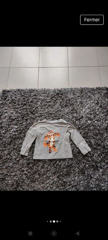 Tee shirt manches longues Tigrou