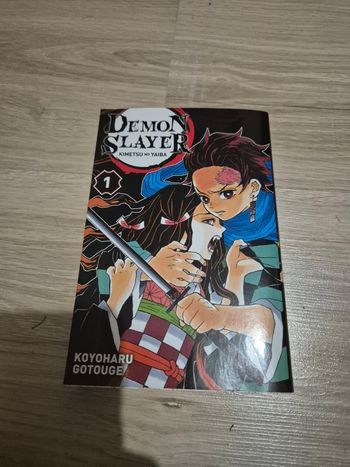 Livre manga titre Demon slayer tome 1