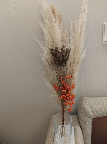 Bouquet fleurs séchées