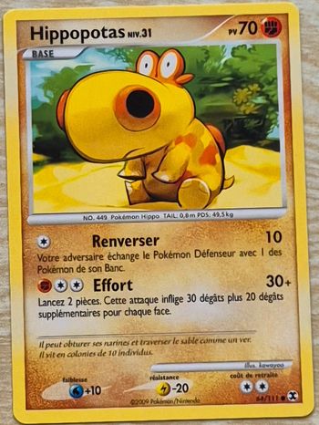 Hippopotas Rivaux Émergeants