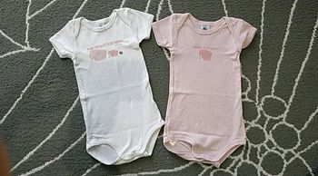Lot 3 bodies manches courtes 12 mois