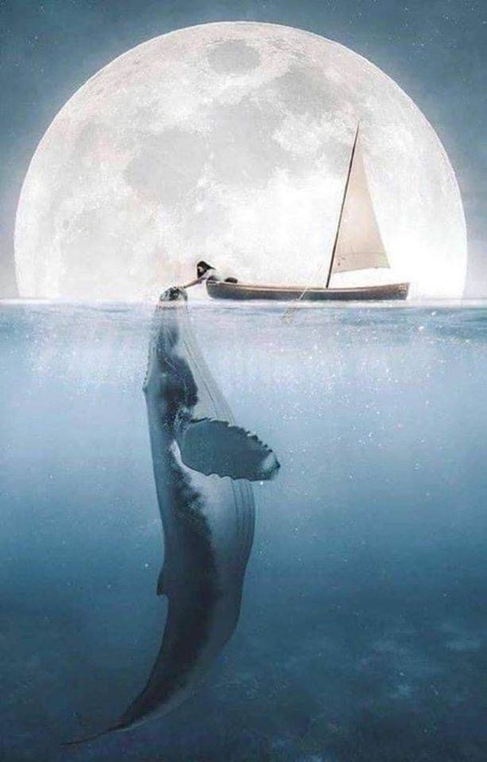 Affiche  "bateau qui flotte"