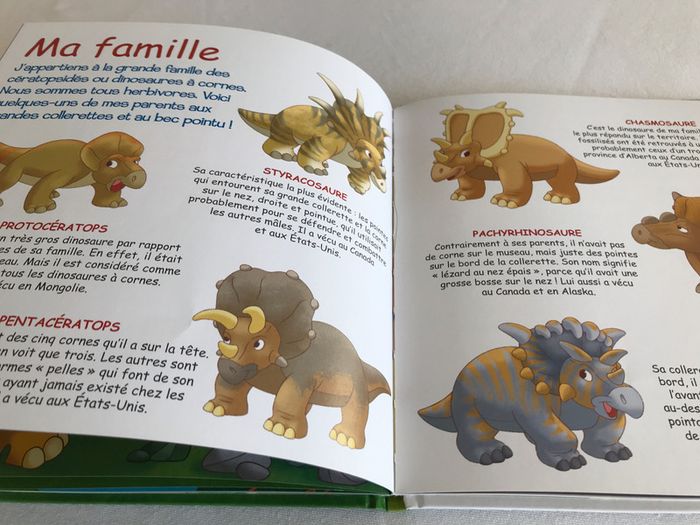 Livre Le Tricératops - photo numéro 4