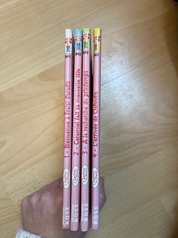 Livres charlotte aux Fraises