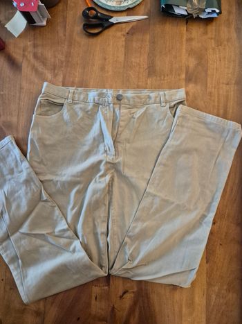 Pantalon femme taille 46 camaieu