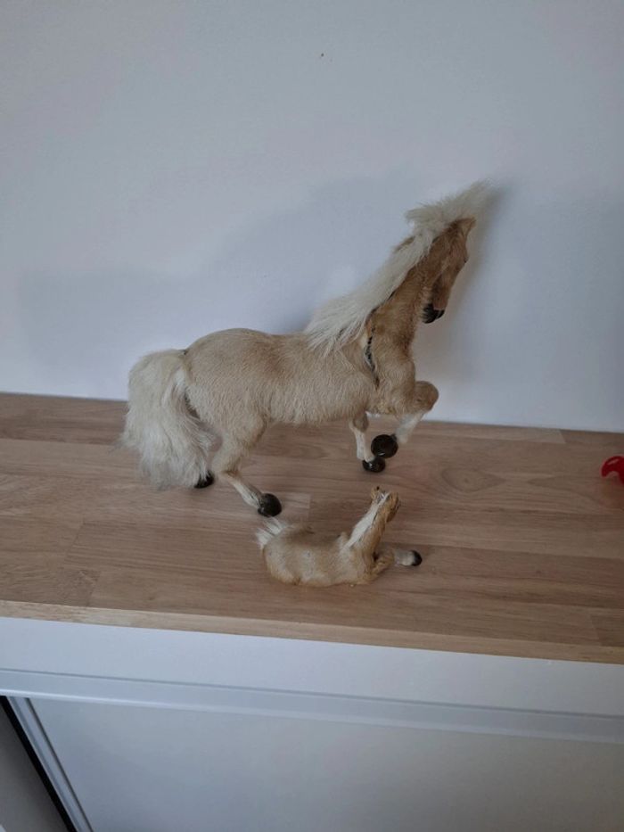 Cheval et son poulain - photo numéro 2