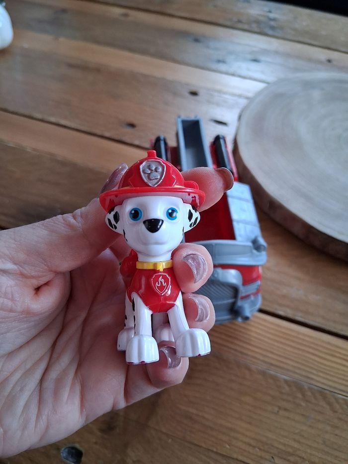 Marcus - photo numéro 7