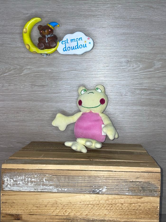 SOL249BIS doudou grenouille 🐸 vidcam