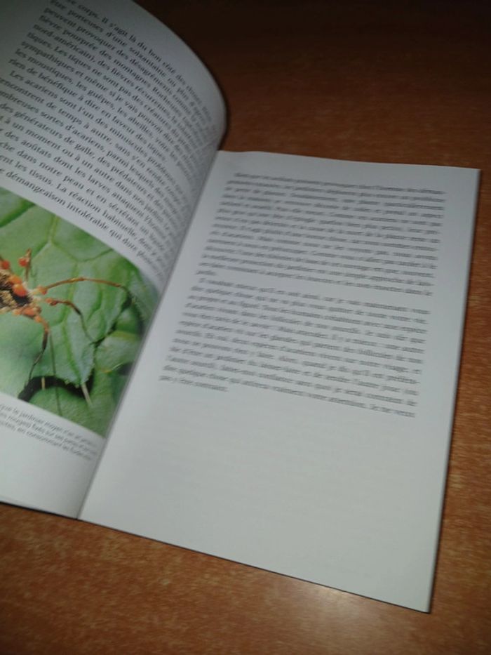 Les insectes au jardin - photo numéro 7