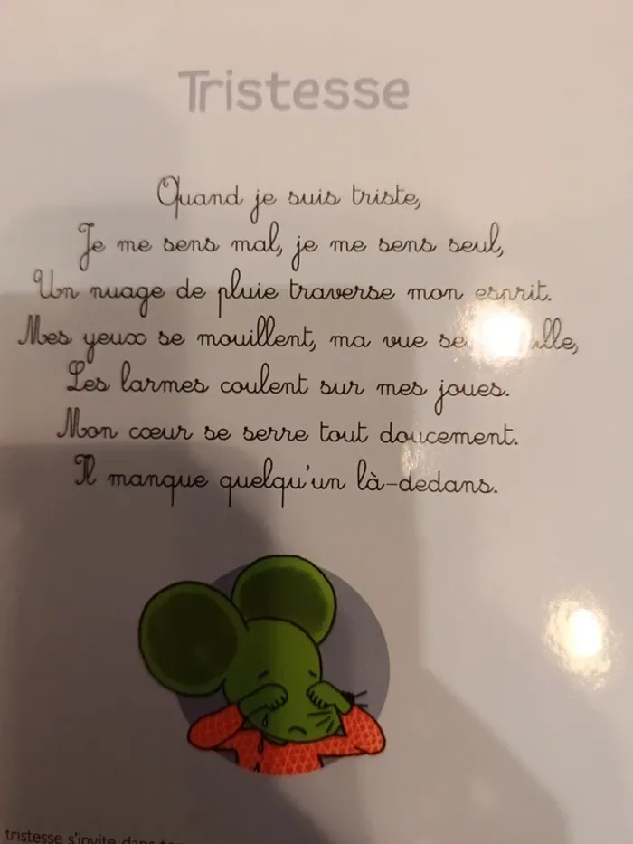 Livre sonore le livre de mes émotions - photo numéro 6