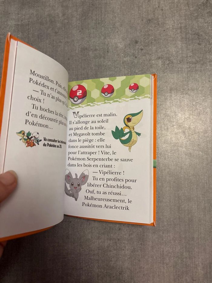 Livre Pokémon, un nouveau dresseur - photo numéro 2