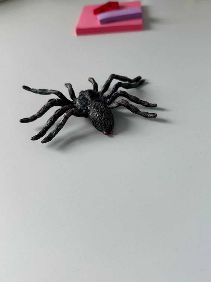Cycle de vie: L'araignée - Lot de 4 figurines - photo numéro 12