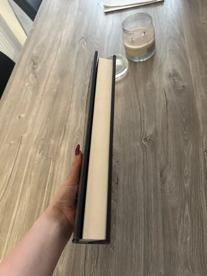 Holly Black - Book of Night - photo numéro 2