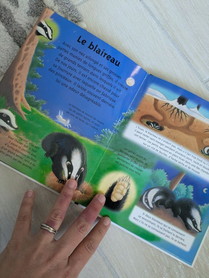 Livre la petite imagerie la forêt - photo numéro 3