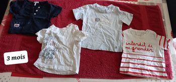 Tee-shirt manches courtes