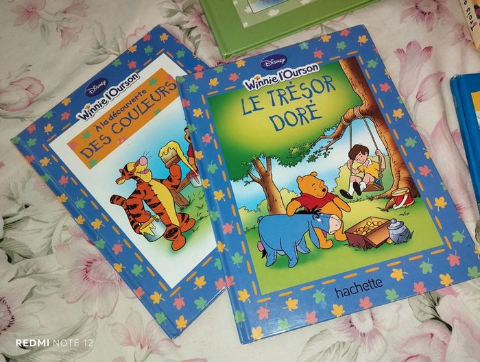 Lot de livre Winnie - photo numéro 3