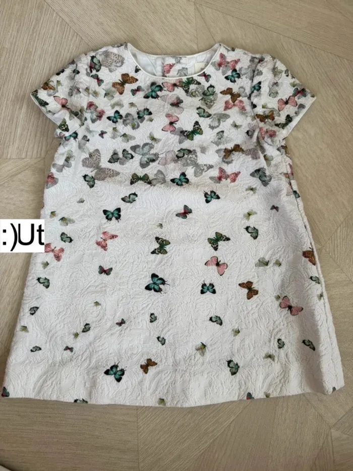 Robe zara papillon
