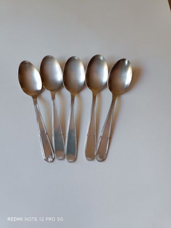 Cuillères inox Guy Degrenne x5