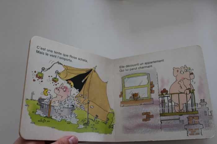 le cochon qui voulait un chateau - photo numéro 2