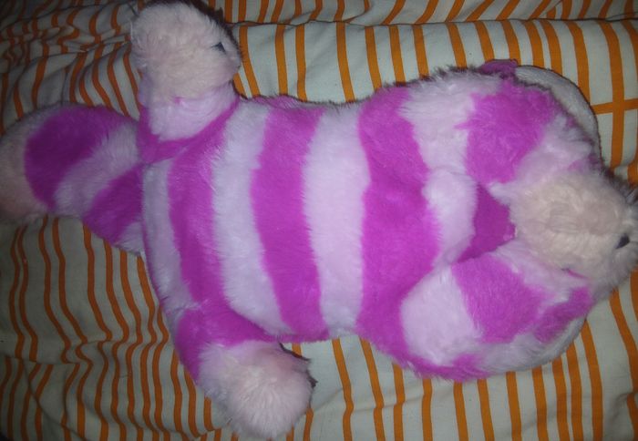 Cheshire (le chat d'Alice au pays des merveilleurs) - photo numéro 3