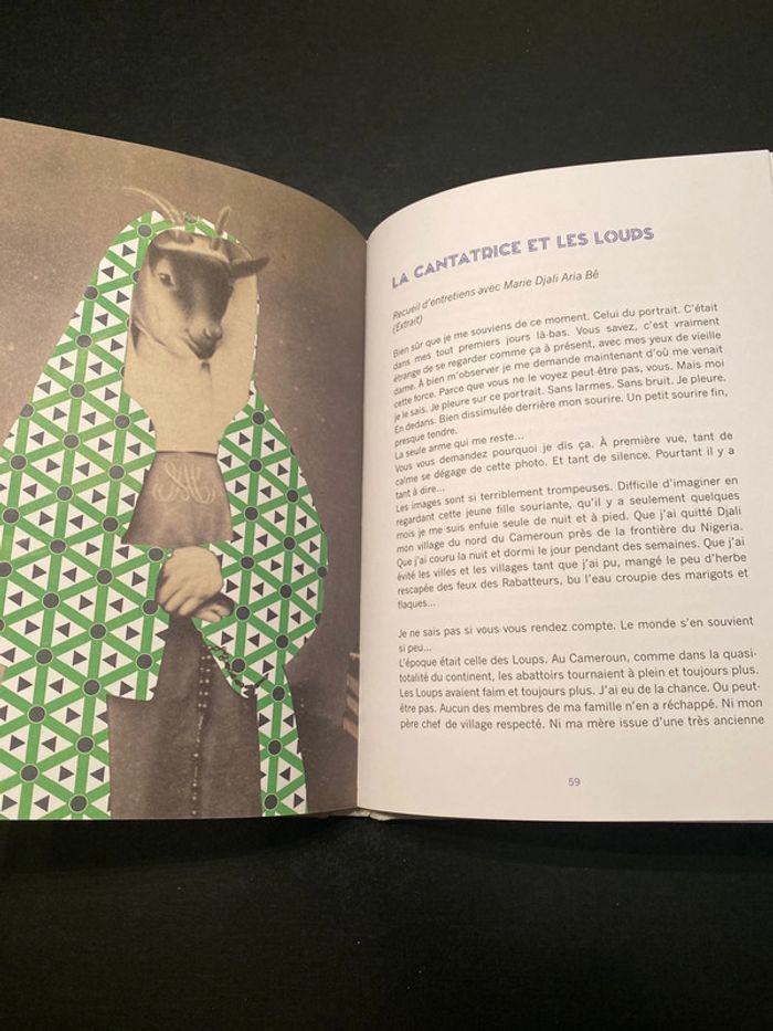 Livre l’incroyable bibliothèque Almayer - photo numéro 3