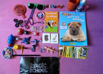 Lot magie jouets accessoires animation fête carte anniversaire farce cadeau TBE