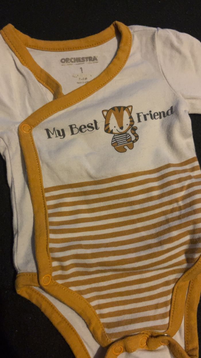 Bodie 1 mois - photo numéro 2