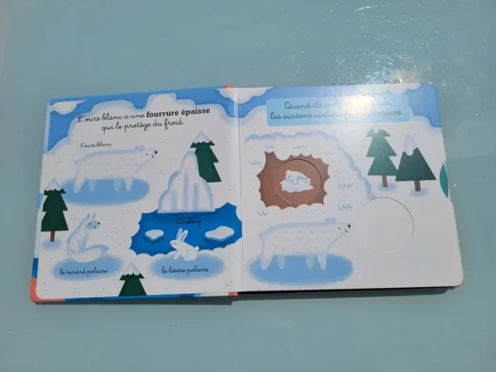 Livre animé à tirettes et roues  🦭 Les Animaux du Froid 🐧 58 - photo numéro 3