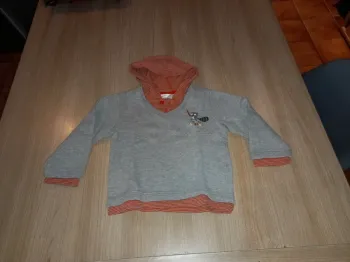 Sweat à capuche