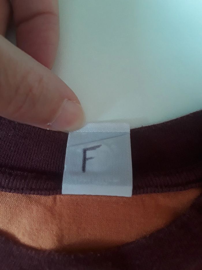 T-shirt petit bateau 4 ans - photo numéro 5