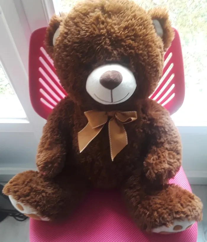 Nounours - photo numéro 3