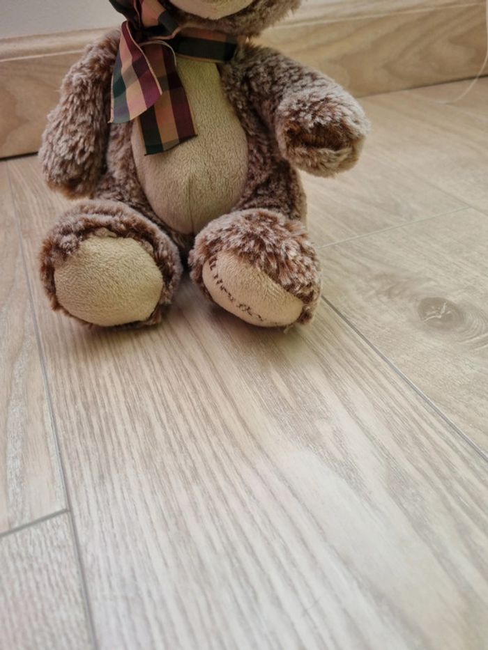 Ours en peluche - photo numéro 2