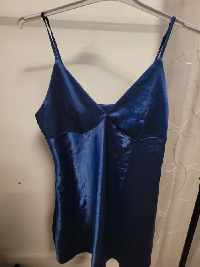 Nuisette bleu - photo numéro 2
