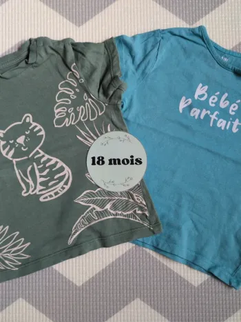 Lot 2 tee shirts 18 mois