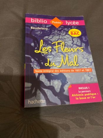 Les fleurs du mal