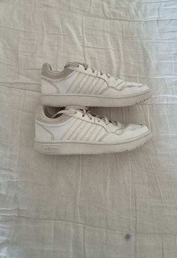 Baskets / chaussures adidas hoops 3
