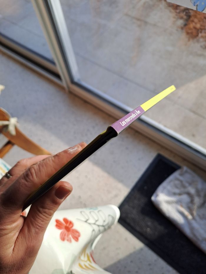 Carabinée, la petite sorcière qui n en fait qu à sa tête - photo numéro 3