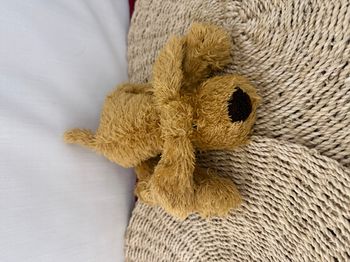 Doudou chien beige EGMONT TOYS