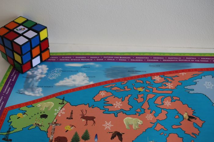 Eboo Pictorial Map of the world - photo numéro 8