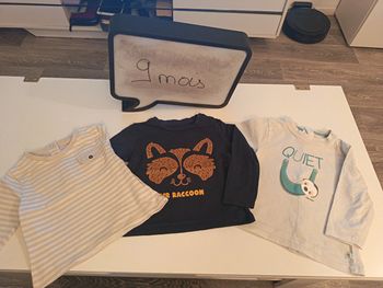 T-shirts manches longues garçon 9 mois