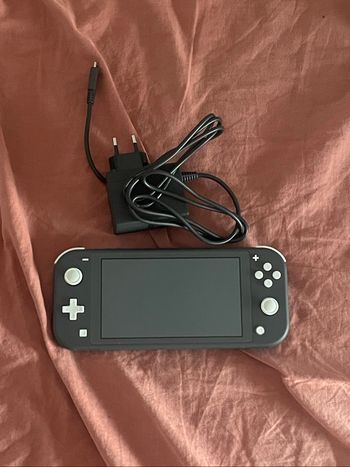 Nintendo switch lite
