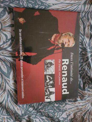 Dans l'intimité de Renaud