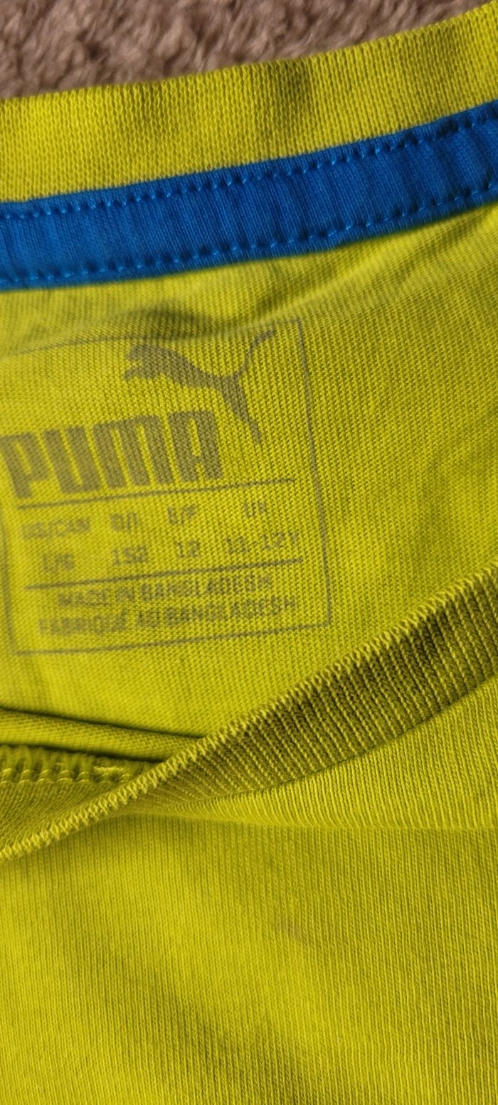 Tee-shirt - photo numéro 5