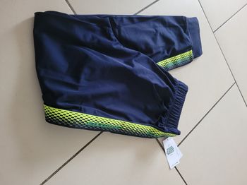 Jogging xl lacoste 